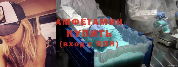 дживик Няндома