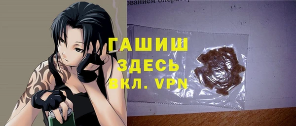 дживик Няндома