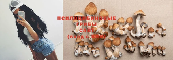 дживик Няндома