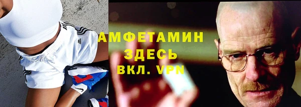 дживик Няндома