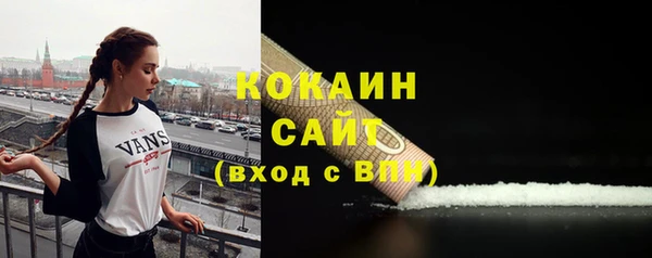 гидра Новодвинск