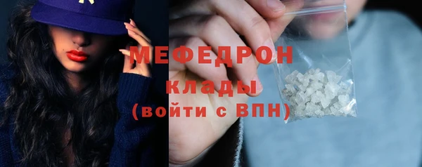 дживик Няндома
