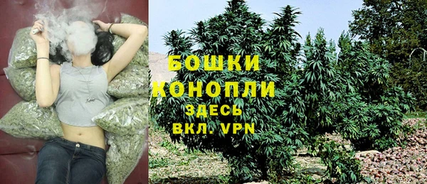 первитин Новозыбков