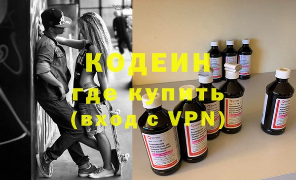 дживик Няндома