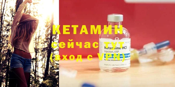 дживик Няндома