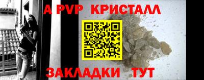 шишки Гай