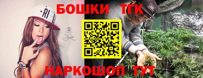 шишки Гай