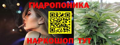 хмурый Гатчина