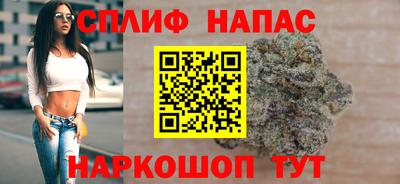 шишки Гай
