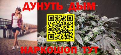 шишки Гай