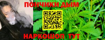 шишки Гай
