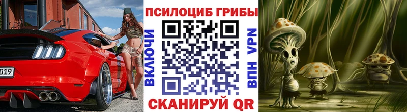 мориарти Telegram  Томск  Галлюциногенные грибы Psilocybe  купить наркотик 
