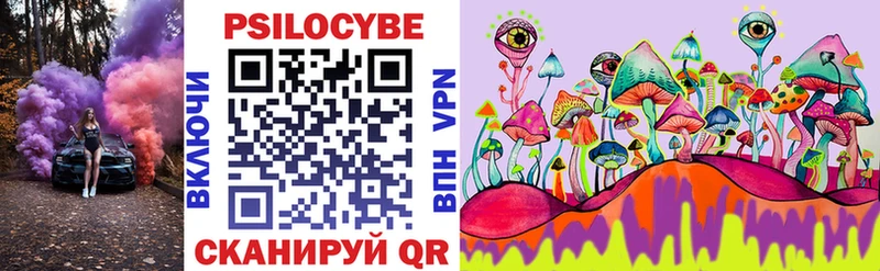 Галлюциногенные грибы Psilocybe Томск